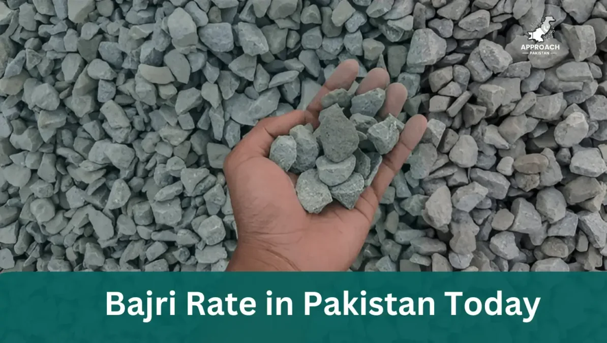 Bajri Rate in Pakistan Today