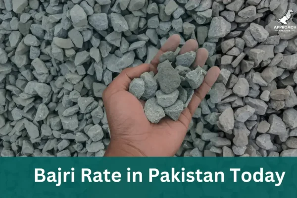 Bajri Rate in Pakistan Today