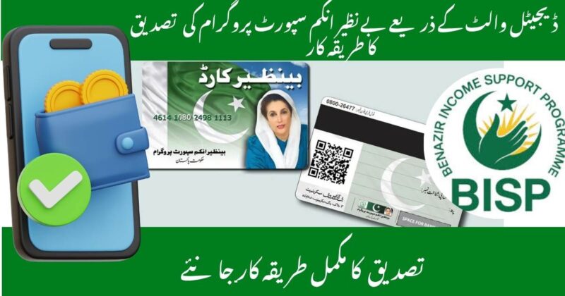 BISP 8171 Payment Verification via Digital Wallet: Step-by-Step Guide