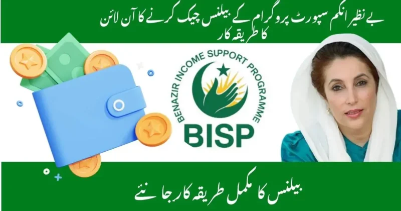 how to check BISP balance online