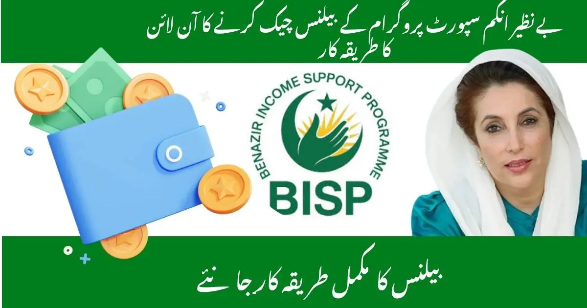 How to Check BISP Balance Online in 2025