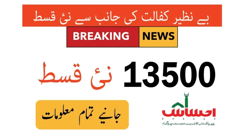 Ehsaas Kafalat Program 8171