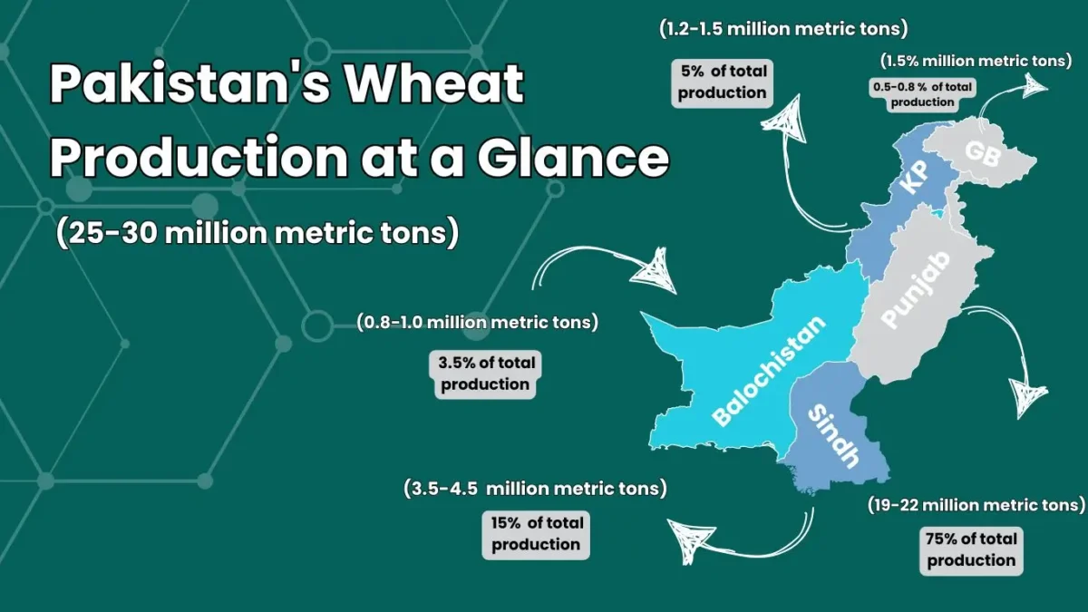 Wheat production last year data 