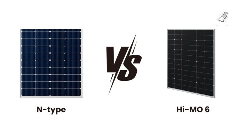 N type vs Himo 6 comparison
