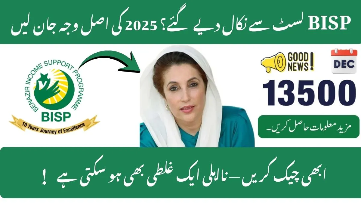 BISP Ineligible Categories 2025 Who Gets Disqualified